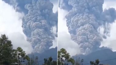 Indonesia Volcano Eruption: इंडोनेशियात ज्वालामुखीचा उद्रेक, 11 गिर्यारोहकांचा मृत्यू